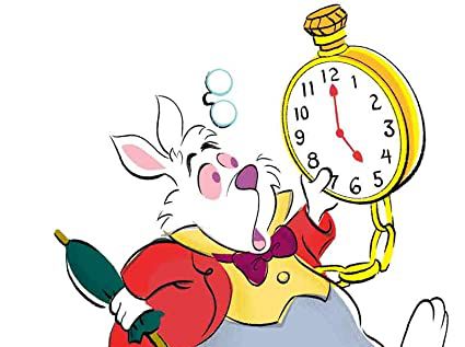 Rabbit Time